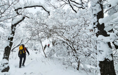 [포토뉴스] 겨울 왕국으로 변한 천안 광덕산 설경