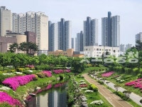 세종 아름동에 숲속맨발정원 깔린다
