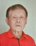 논산 연무 안심시장에서 80대 실종