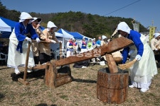 디딜방아로 마을의 역질과 액을 밟다