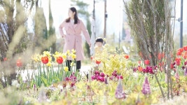 늘솜수목센터 | "가정의달 특별한 추억, 수목원에서 만들어요"