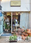 [천안 독립서점 기행] ⑨ 상큼발랄한 꽃집 주인장의 책방 취향