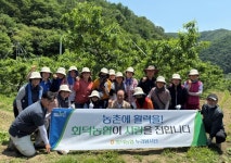 대전 회덕농협, 복숭아농가 일손돕기 