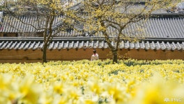 NAVER検索結果の写真 4