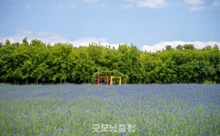 [특별기획] 진짜 가성비 대박...특가 판매 6월 말까지