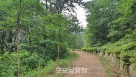 [주말 여기어때?] 부산 시내 전경이 훤히 보이는 백양산