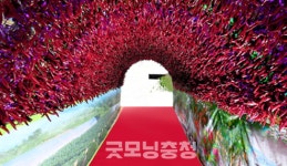 청양군 7월 27일부터 한 달간 고추 임시시장 운영