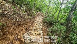 금산군, 개덕사~서대산 2.06km 구간 정비