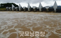 [르포] 논인지 하천인지…물에 잠긴 예산군 삽교읍