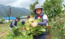 단양에서 살아보기 참가자 모집…주거·연수비 지원
