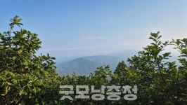 [주말 가볼 만한 곳] 서른다섯 청년, 광교산에서 길을 묻다