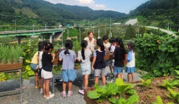 괴산의 아이들은 치유농장에서 몸과 마음을 키운다