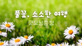 [여행] 가을, 공주에서 만나는 특별한 문학 여행