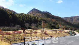 강처사 개삼각 설화 기리며 금산인삼축제 개막