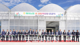 서산 해미면에 5억 들여 벼 자동화 공동육묘장 조성