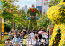 제16회 대전 유성국화축제 18일 개막