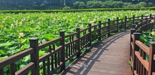 생태문화자원 풍부한 세종, 콘텐츠·인프라 개발은 초보