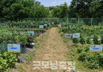 대전 유성구, 도심 속 공동체 텃밭 연다