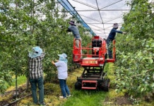 증평형 일손더하기 사업, 한달 앞달겨 23일부터 본격 추진