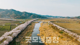 제철 먹거리에서 축제·관광까지…매력 만점 보령