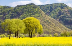 옥천군 동이면의 숨겨진 비경을 찾아라