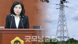 대전시의회 신계룡~북천안 송전선로 재검토해야