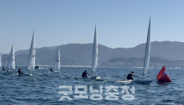 보령시청 요트팀, 대통령기 대회 금1·동1 획득