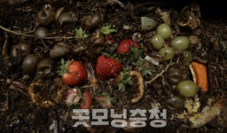 뮤지엄호두, 천안창작촌 13기 쇼케이스전 처음의 온도 