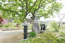 [나무, 천년의 세월을 담다 403] 기어코, 살아남음…당진시 정미면 매방리 느티나무
