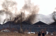 토마토 농장서 화재…13억원 상당 재산피해