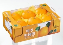 한라봉·천혜향·레드향 1~2월 매출, 오렌지 제쳤다