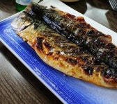 생방송투데이 자취생 입맛 잡는 가정식 삼총사 소개…포이마루 고등어 자반구이