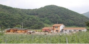 생생정보통 영주 장생이 체험마을 화제…봄맞이 휴향지 각광
