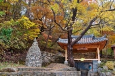 봄 기운을 온몸으로 전해주는 인제 봄 약수