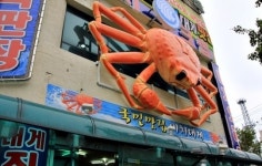 생생정보통 줄을서시오 비치크랩 소개…저렴한 가격 높은 신선도 강점