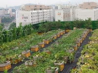 노원구, 도시농업 마을공동체 한마당 개최