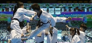 2014 세계태권도한마당 53개국 참가…품새 명인 이규현 사범 3연패