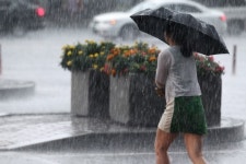 [포토] 우산으로도 못 막는 소나기