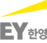 한영회계법인 “보고서 ‘무단사용’ 엘리엇에 법적조치”