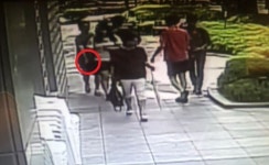 만기출소 선수급 소매치기 또 쇠고랑