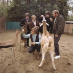 비치 보이스의 명반 펫 사운즈, 50주년 기념반으로 발매