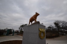 JP목장으로도 불린 한우개량사업소는 어떤 곳?