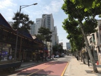 이제는 중리단길? 서울로 개장에 중림동 상권 들썩
