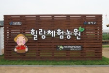 서울시 힐링체험농장, 어린이·청소년 위한 농촌체험교육 운영