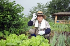 서울시 텃밭농장 가꿀 시민 모집…3천명 선발