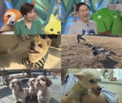 동물농장 평균나이 20.5세 장수견, 건강 비법 대공개