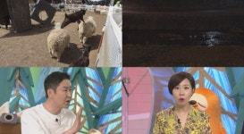동물농장 만우절 맞아 충격 사연 공개…정선희 대본 못 읽을 정도