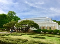 [되살아난 서울] ⑰ 궁 안에 숨겨진 비밀의 화원··· 창경궁 대온실