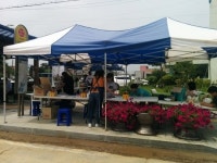 연천세모카페, “군남체험마켓” 행사해