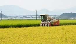 태풍지나고 가을 맞이…전국 각지 나들이객 인파